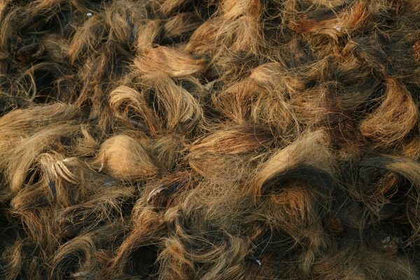 Coconut Coir and Husk Composting Guide