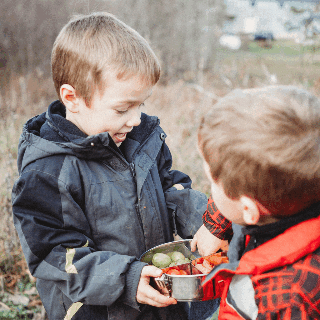 Non-toxic food storage containers