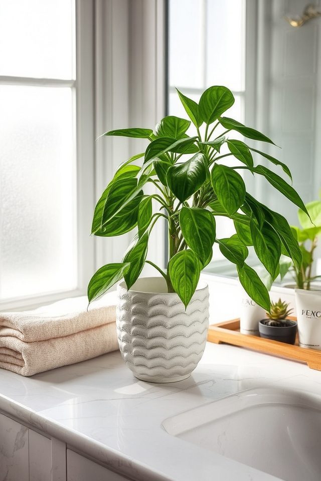 glossy low maintenance air purifier