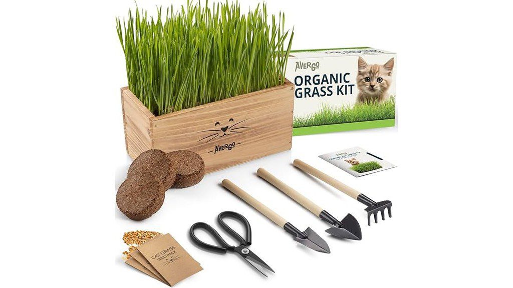 organic cat grass seeds