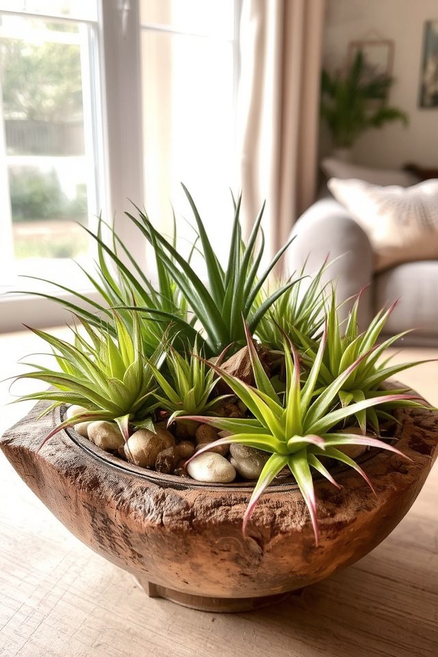 soil less low maintenance greenery