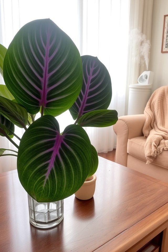 stunning indoor foliage plants
