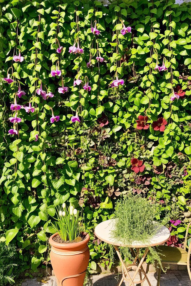 vibrant green wall installations