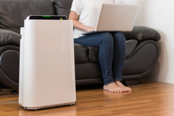 Portable Air Purifier Locations for Multi-Room Use