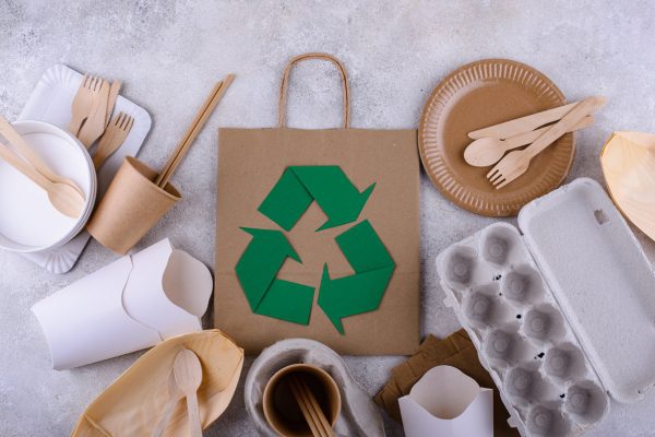 Essential Eco-Friendly Kitchen Product Swaps