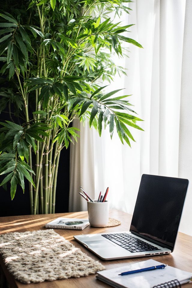 tropical elegance air purification