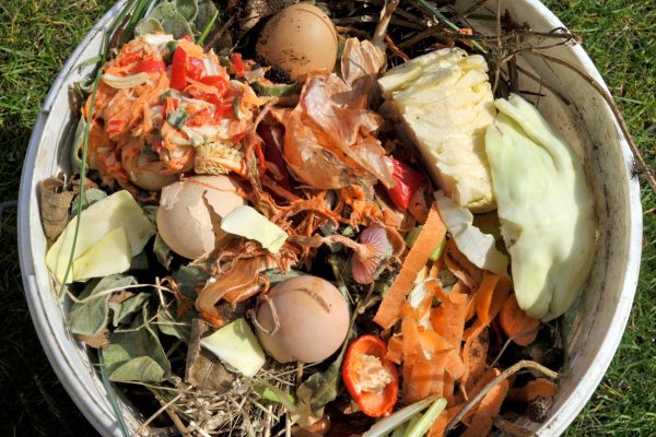 Common Problems When Composting Eggs