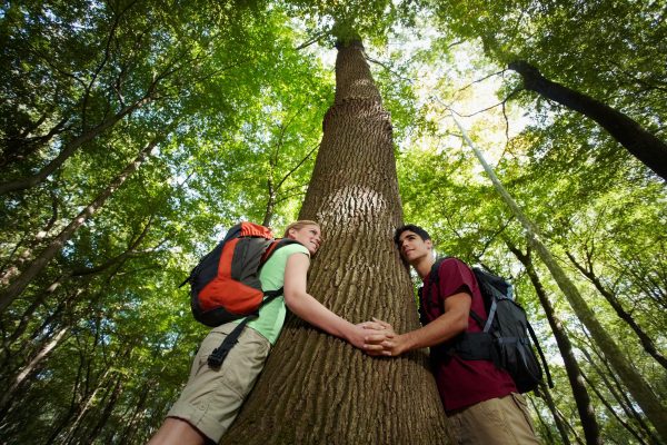 Forest Conservation