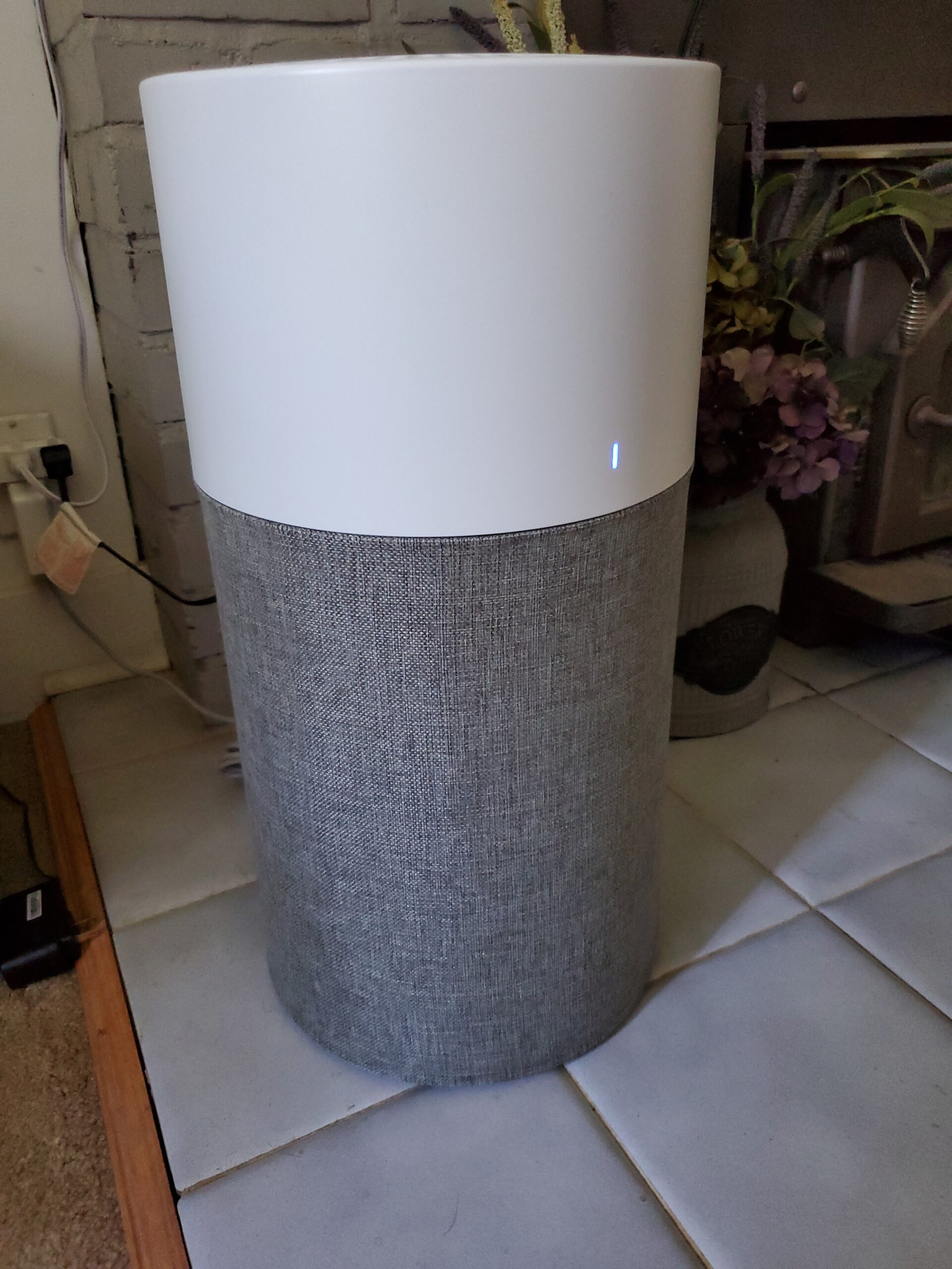 BLUEAIR Air Purifier Large Room, Air Cleaner for Dust Pet Dander Smoke Mold Pollen Bacteria Virus Allergen, Odor Removal, for Home Bedroom Living Room, Washable Pre Filter, HEPASilent, Blue 211+ Auto - Customer Photo 1