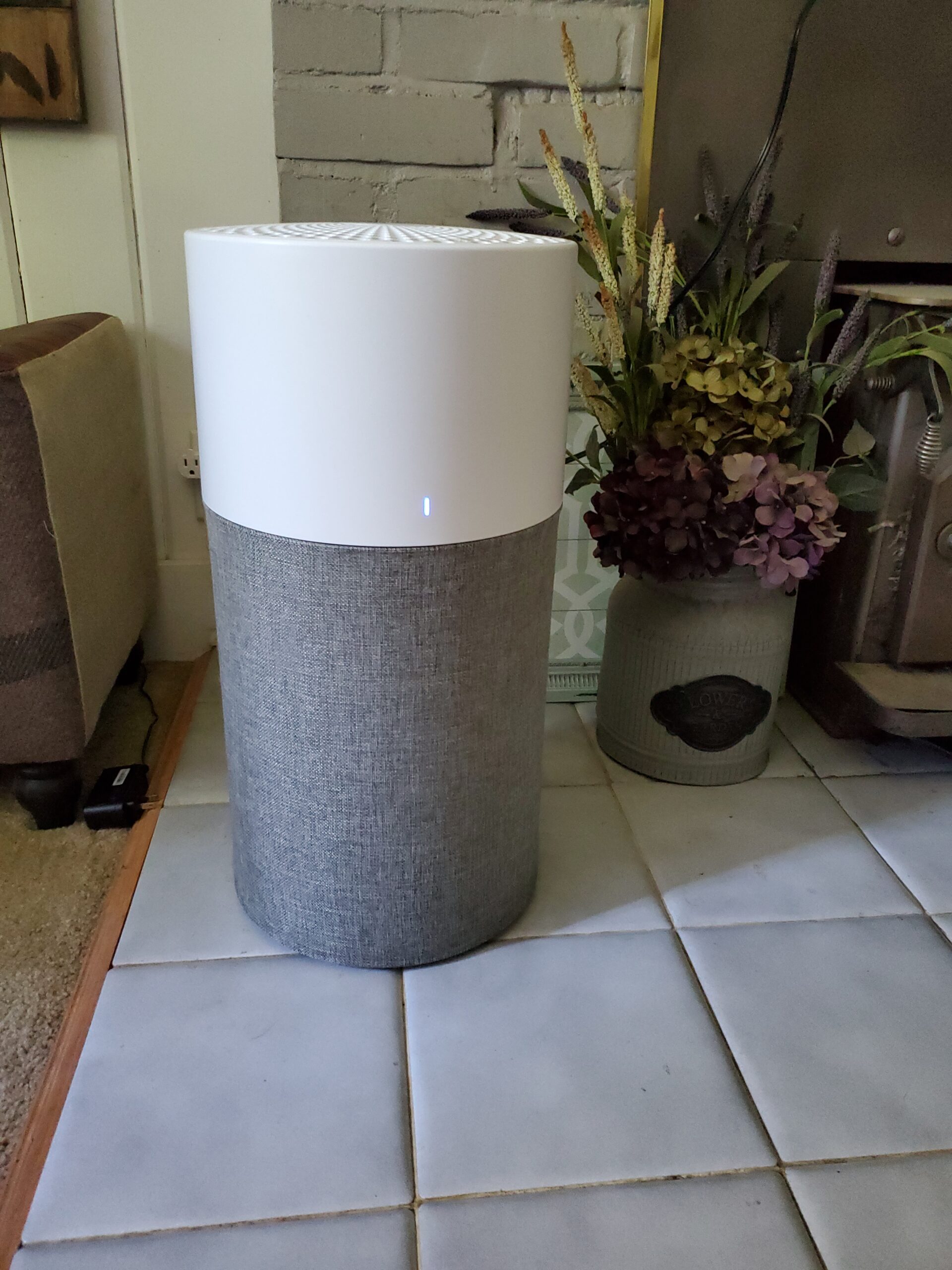 BLUEAIR Air Purifier Large Room, Air Cleaner for Dust Pet Dander Smoke Mold Pollen Bacteria Virus Allergen, Odor Removal, for Home Bedroom Living Room, Washable Pre Filter, HEPASilent, Blue 211+ Auto - Customer Photo 2