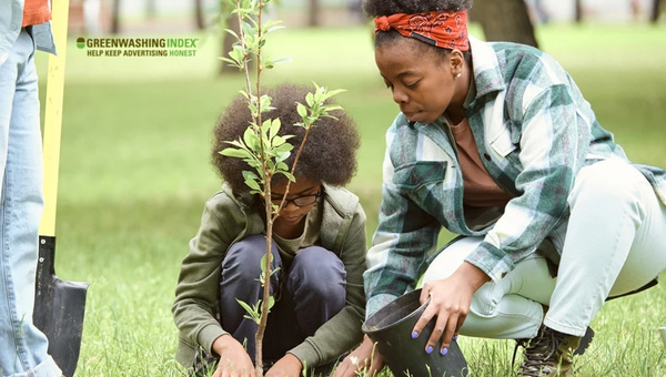 Water Conservation Tips: Curate Your Cooling Canopy with Strategically Planted Trees