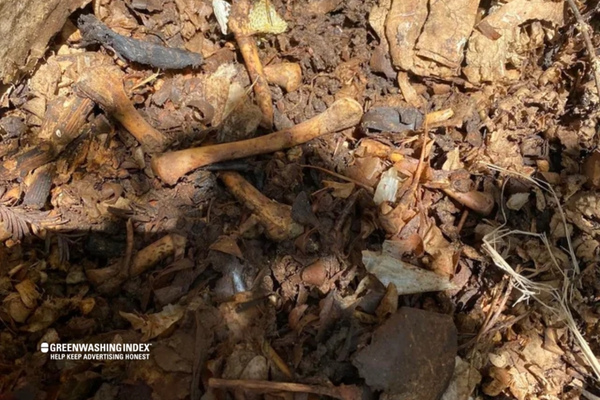 Delving into Bones in Compost