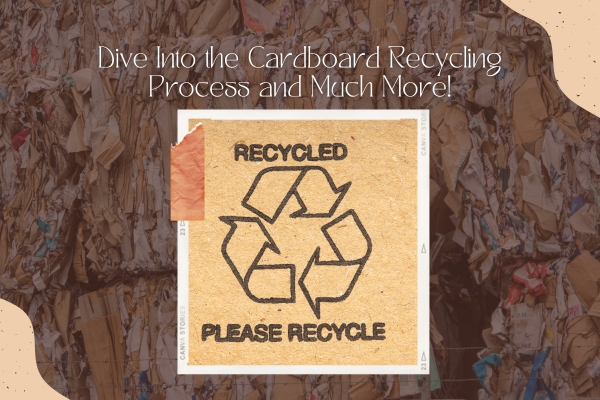 Dive Into the Cardboard Recycling Process and Much More!