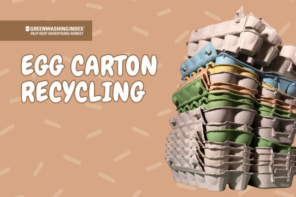 Egg Carton Recycling: A Path to Sustainable Lifestyle