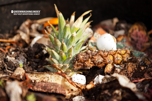 How to Compost a Pineapple?