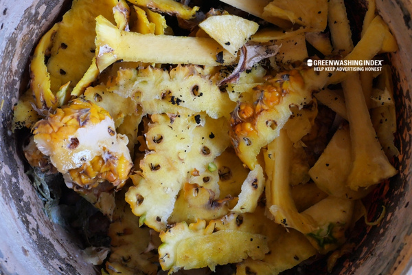 Key Rules When Adding Pineapple to Your Compost