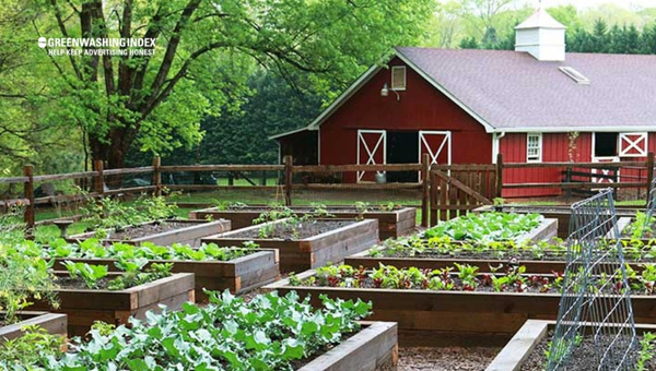 Water Conservation Tips: Laying Out A Practical Template For Resilient Gardens