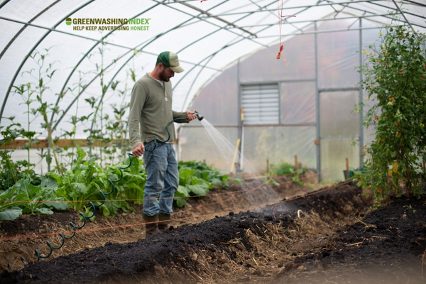 Maintaining Your Attached Greenhouse