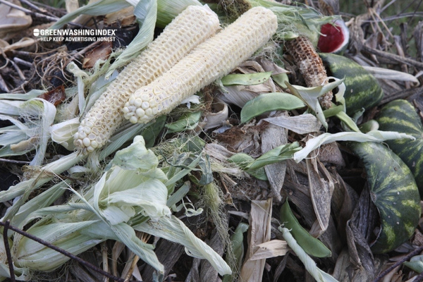 Preparing Your Corn Cobs for Composting