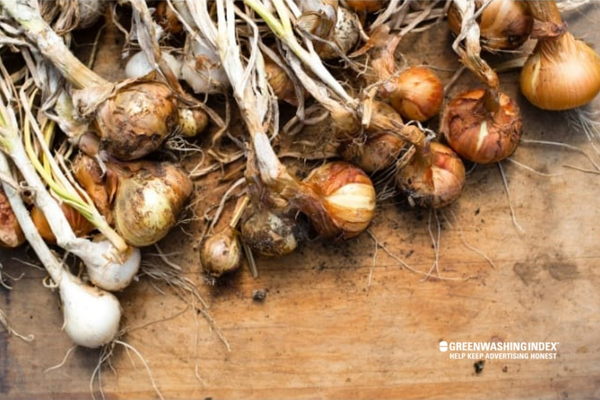 Procedures for Effectively Incorporating Onions into Your Compost Heap