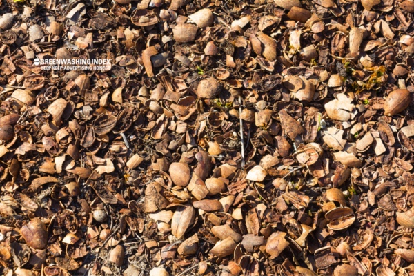 Real-Life Experiences with 'Pistachio Shells' Composting