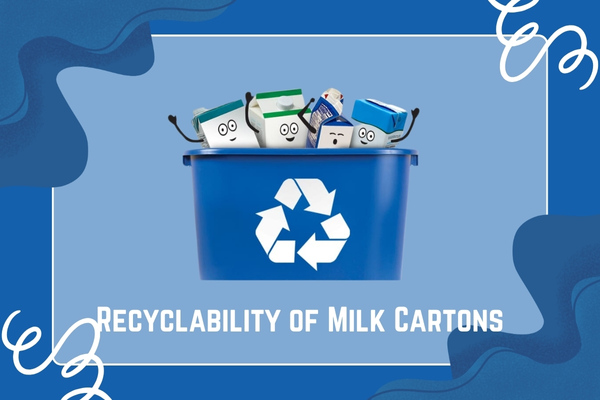 Recyclability of Milk Cartons: Is It Possible or Not?