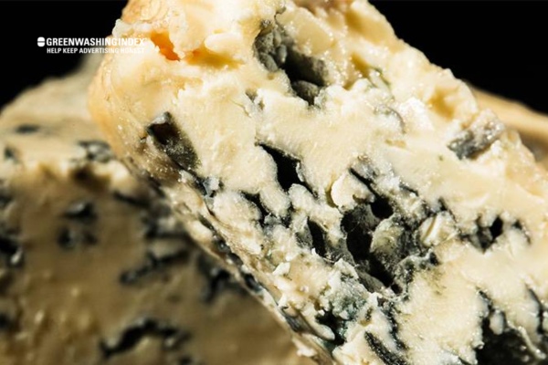 Risks Associated with Composting Cheese