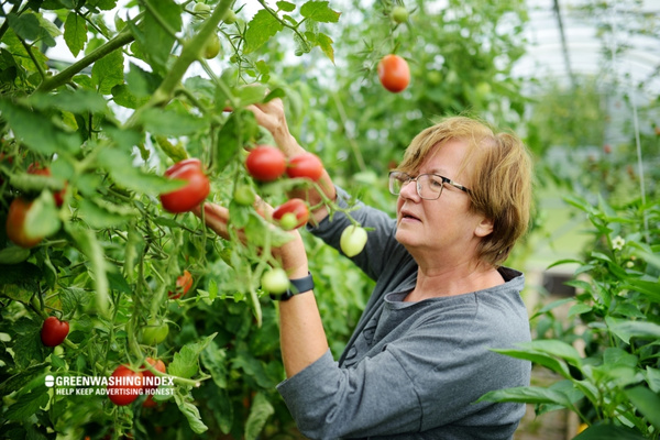 The Therapeutic Influence of Gardening