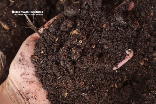 Understanding The Ecosystem of Compost Bugs