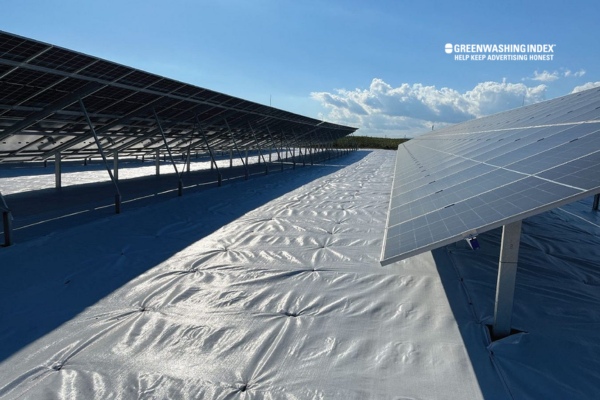 What are Bifacial Solar Panels?