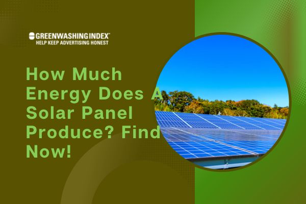 How Much Energy Does A Solar Panel Produce? Find Now!