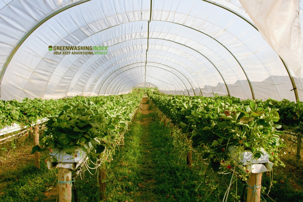 Initial Factors Affecting Greenhouse Cost