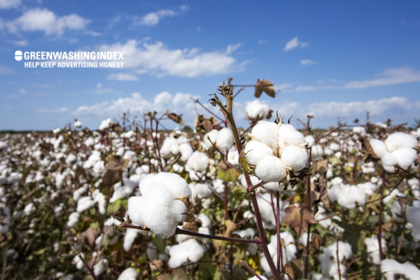 Innovations in Increasing Cotton's Sustainability