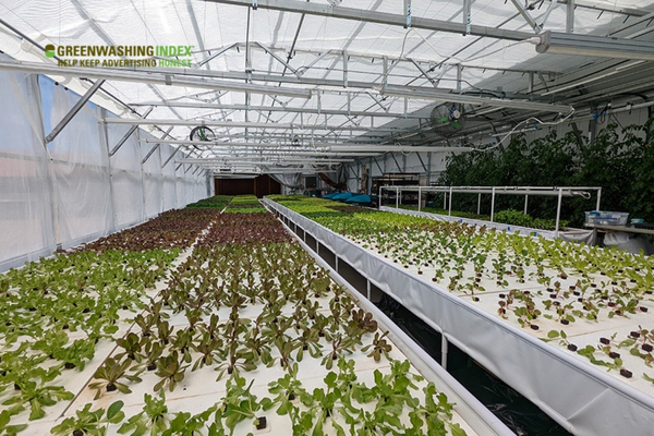 Strategies for Effective Greenhouse Cooling