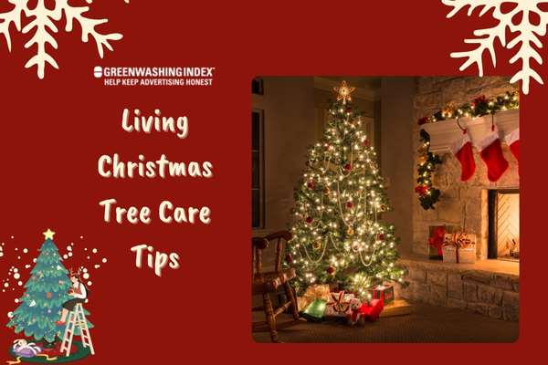 Living Christmas Tree Care Tips: Ensure Holiday Joy!