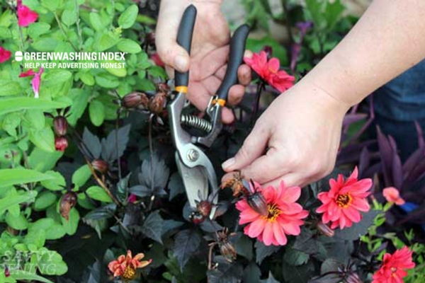Maintaining Your Container Garden with Ease