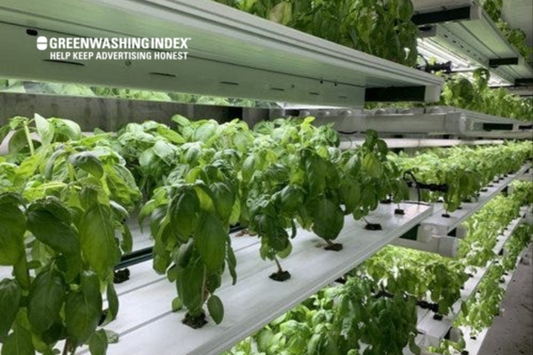 Maintenance & Monitoring Of Your Hydroponic Greenhouse