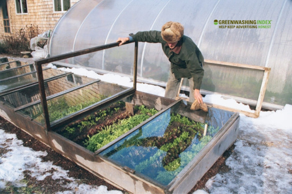 Planning Your Approach to Winter Gardening