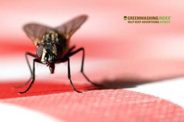 Practical Tips to Keep Flies at Bay