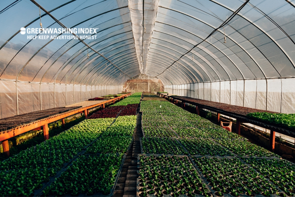 The Advantages of Hydroponic Greenhouse