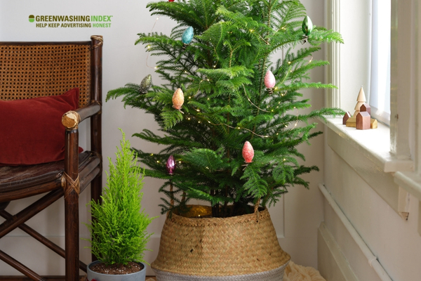 The Essentials of Caring for Your Living Christmas Tree