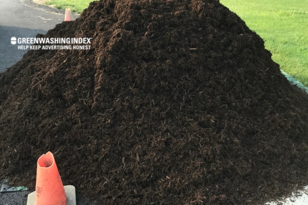 New Year's Resolutions: Starting Your Compost Pile