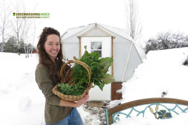Types Of Winter Greenhouses