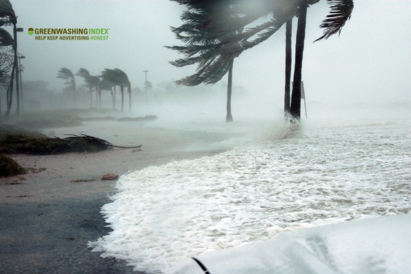 The Basics of Hurricane Preparedness