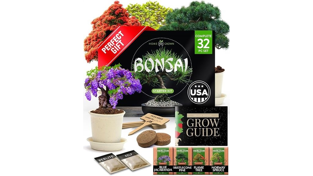 bonsai tree growing kit