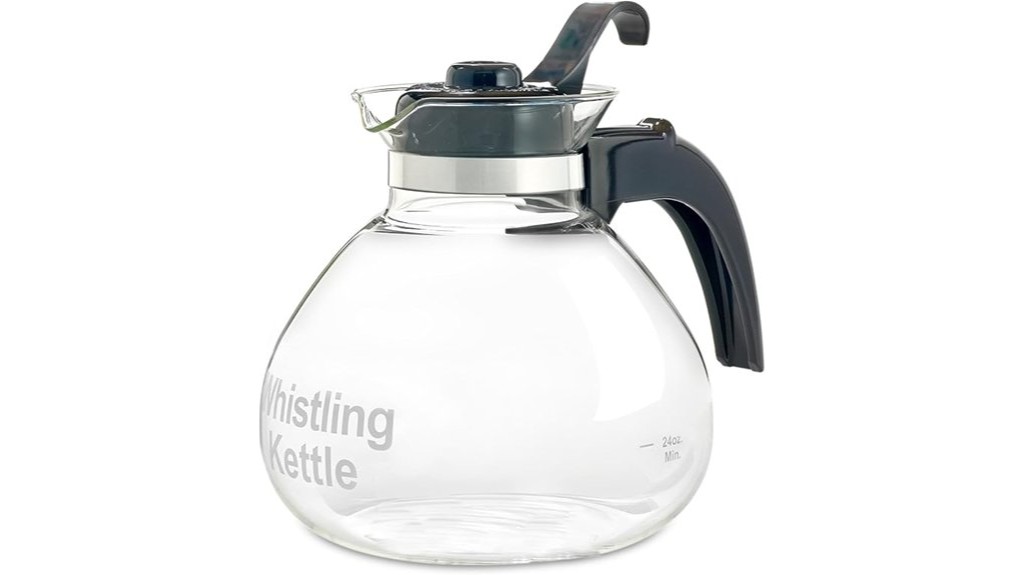 borosilicate glass tea kettle