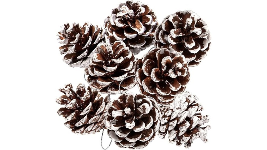 bulk natural pine cones