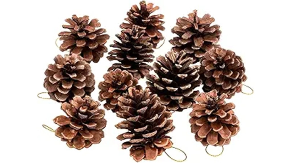 christmas pine cone decorations