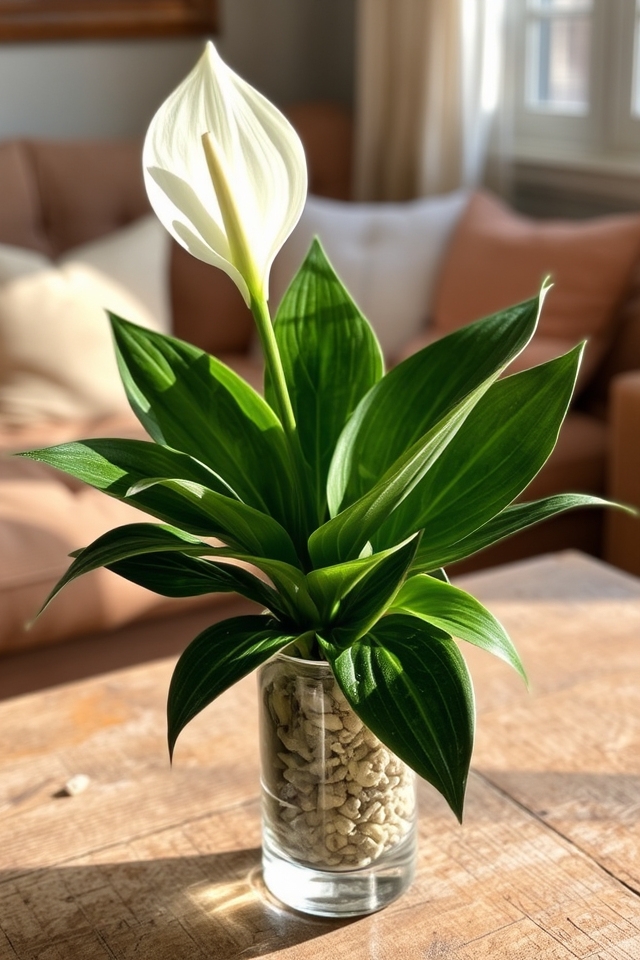 elegant low maintenance air purifier