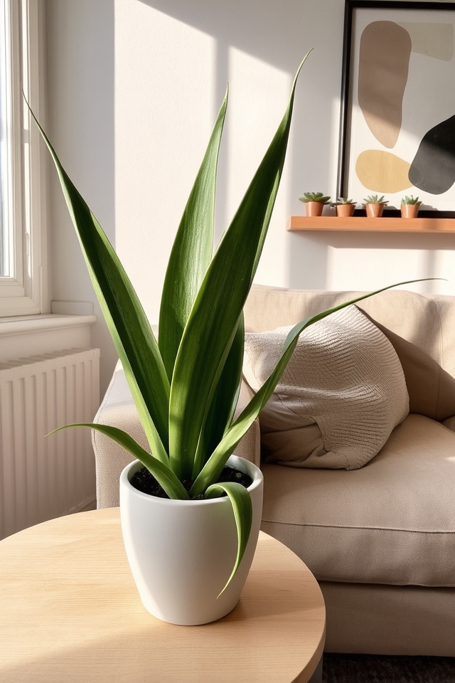 hardy elegant air purifier